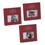 Ladies' handkerchief Animal collection - 1 pc/box
